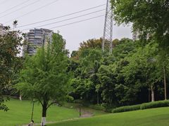 -龙头寺公园