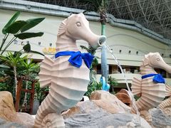 -青岛海泉湾度假区温泉