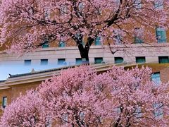 -吉林大学(新民校区)