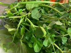 -冯姐生蚝(迎宾广场店)