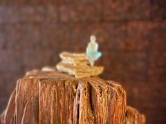 -普洱茶府(博乐广场店)