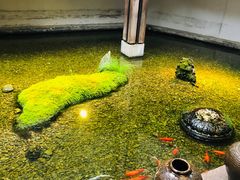 -几荷·恰似故人来(秀水广场店)
