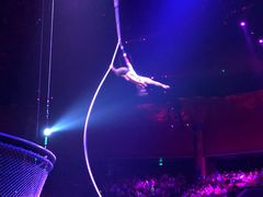 -珠海横琴长隆《卡卡虎奇遇记》