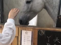 -枫露马术学院(藏书校区)