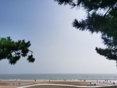 -日照海滨国家森林公园