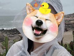 -广东惠东海龟国家级自然保护区