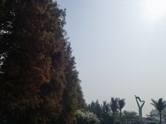 -厦门园林博览苑