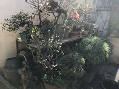 -云隐小厨·传统大理美食(复兴路店)