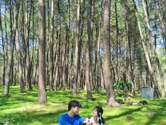 -硗碛藏寨·神木垒景区