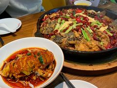 -老板恋上鱼(印象城店)