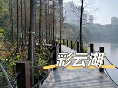 -重庆彩云湖湿地公园