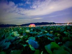 -西湖天地
