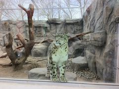 -青藏高原野生动物园