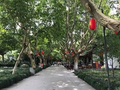 -杭州黄龙洞