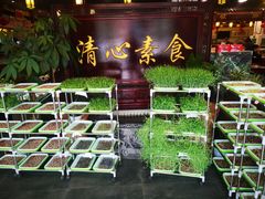 -福慧缘清心素食(峨眉山前店)