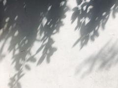 -蒋氏故居