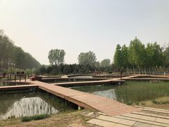 -东郊湿地公园