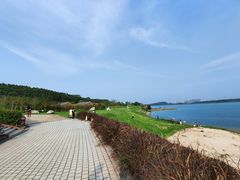 -露天矿生态公园