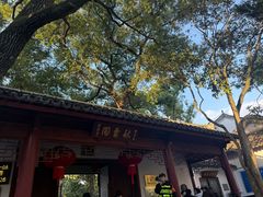 -秋霞圃