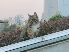 -UNI UNI(环亚凯瑟琳店)