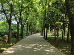 -洛阳市隋唐城遗址植物园