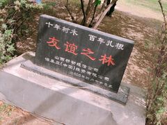 -森林公园(尖草坪区)