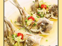 -有腥气私房菜·寻味顺德