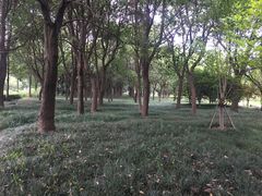 -澹台湖公园