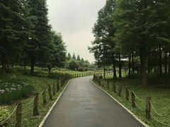 -贵阳市花溪国家城市湿地公园