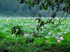 -颐和园