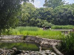 -成都市活水公园