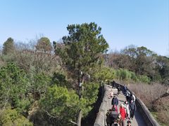 -台州府城(江南长城)