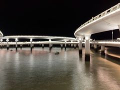 -演武大桥观景平台