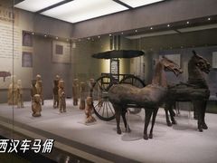 -仪征博物馆