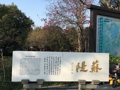 -苏堤停车场