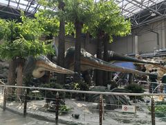 -国家自然博物馆