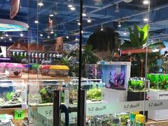 -龟与熊猫宠物公园(南坪店)