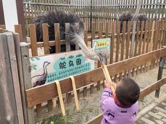 -太阳岛度假酒店