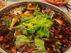 特色红油锅-川道拐耗儿鱼(旗舰店)