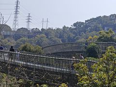 -福道
