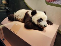 -深圳博物馆历史民俗馆