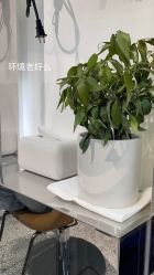 -I+造型烫发染发