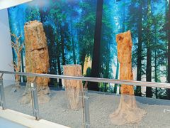 -延庆地质公园博物馆