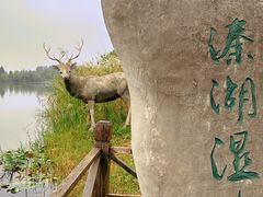 -溱湖国家湿地公园