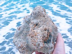 -白沙湾海滩
