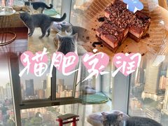 -Catmate·猫肥家润(金润铂宫店)