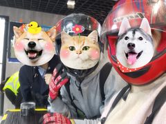 -锐擎卡丁车主题乐园(郊野公园店)
