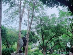 -柳侯公园