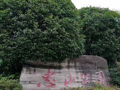 -忠山公园