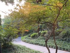 -浙江西子宾馆·瑶园咖啡厅